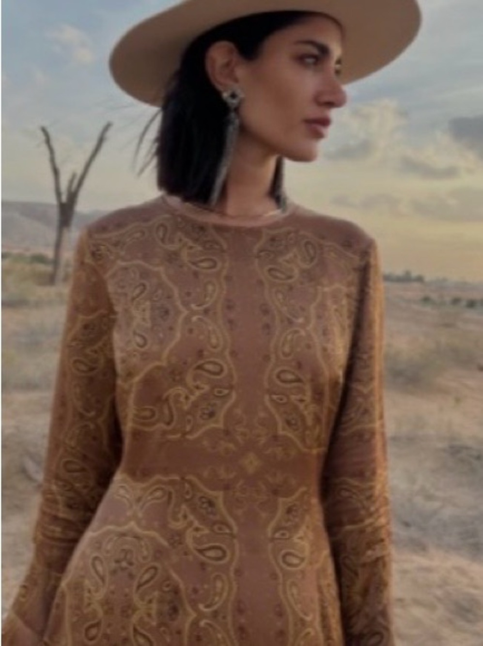 Never Fully Dressed caramel Paisley Long-Sleeve Midi Dress with Flared Hems NWOT
